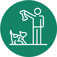 seguro de vida para mascotas
